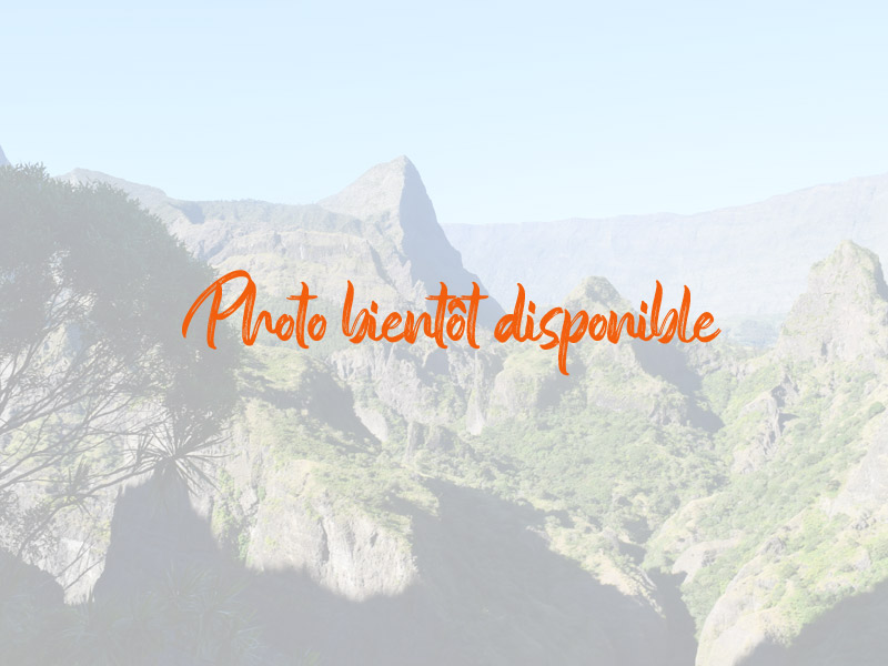 photo n°2 Chez Judex THOMAS