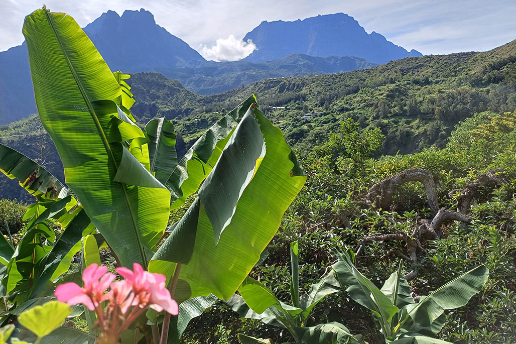 photo n°8 Gîte Chez Judex THOMAS