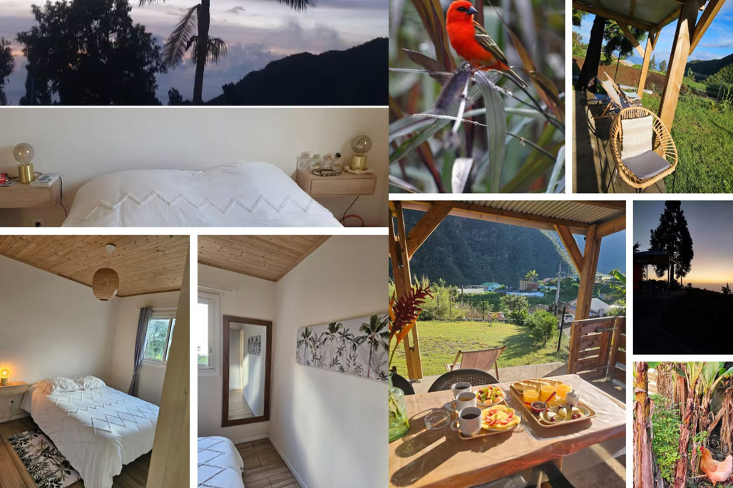 photo n°6 Au Coeur des Plantations 