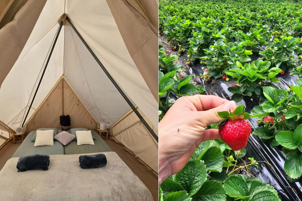 photo n°8 Glamping - Au Coeur des plantations