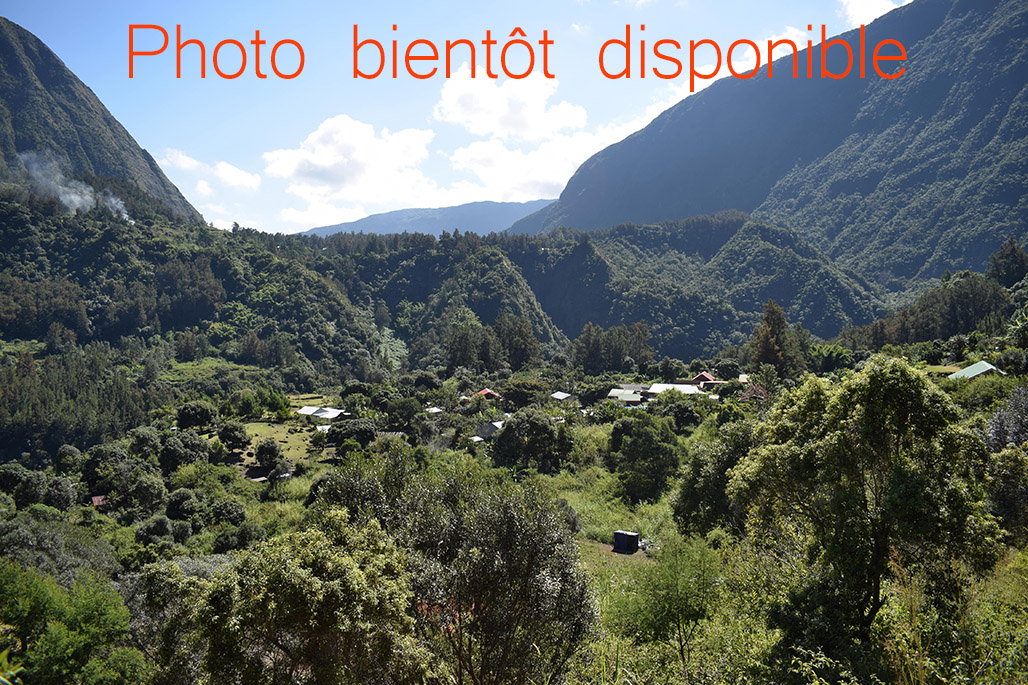 photo n°8 Gîte et camping Les Filaos