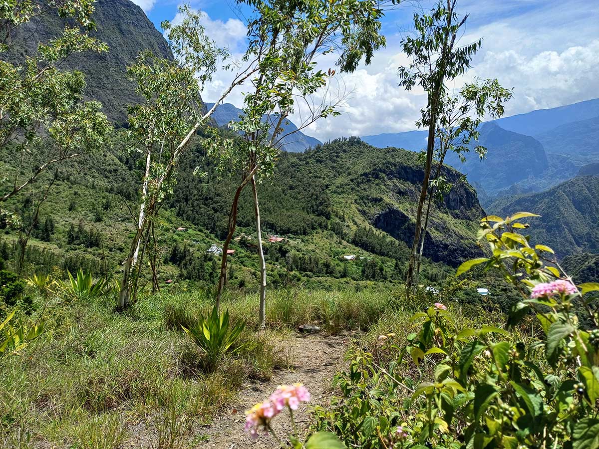 photo n°8 L'Eden des Cimarrones