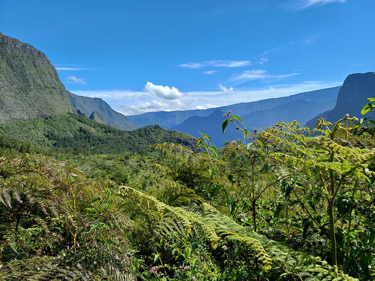 photo n°9 L'Eden des Cimarrones