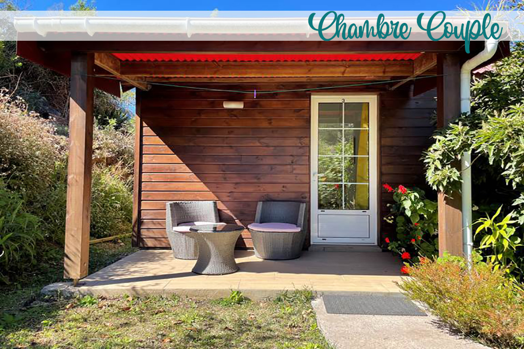 photo n°2 Les Agapanthes
