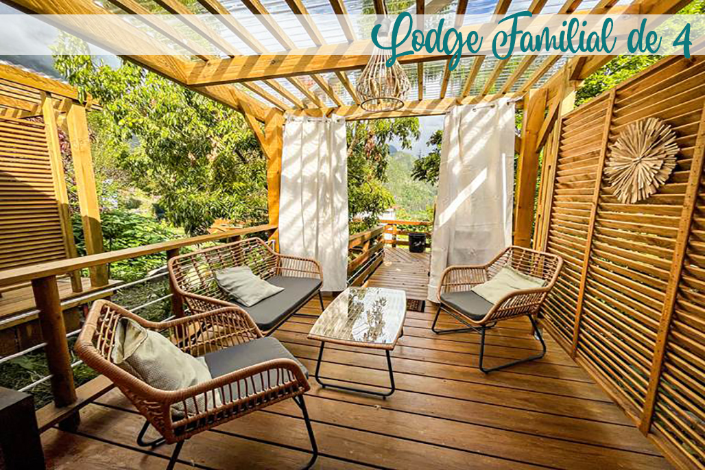 photo n°7 Les Agapanthes